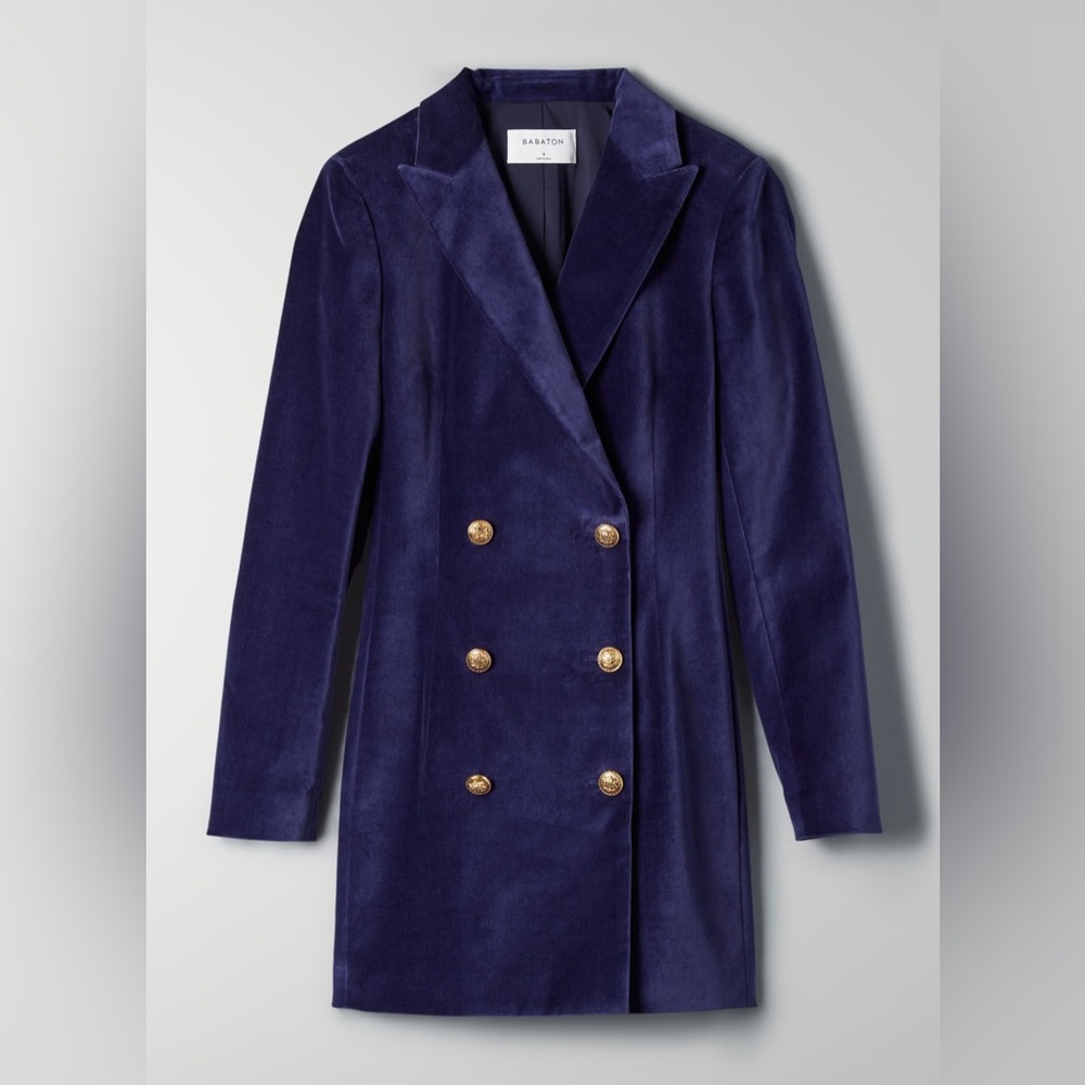 Aritzia Purple Velvet Blazer with Gold Buttons